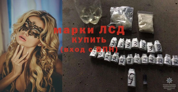 индика Абаза