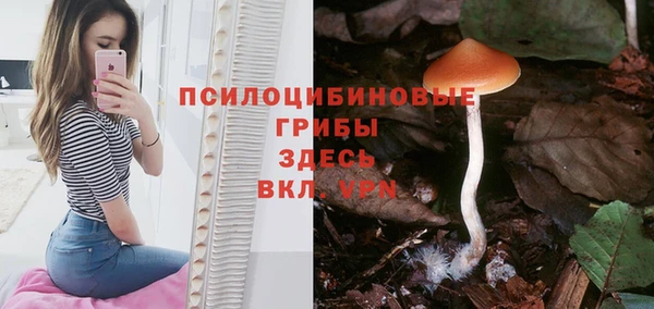 прущая мука Алексин