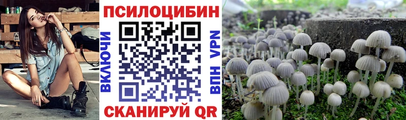 как найти наркотики  гидра   Псилоцибиновые грибы Psilocybine cubensis  Болхов 