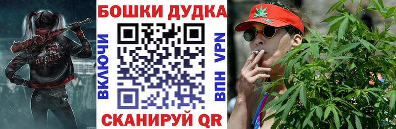 Бошки Шишки ГИДРОПОН Болхов